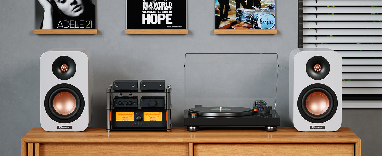 Fosi Audio V3 Mono 240Wモノラルパワーアンプ デジタルアンプ – Fosi