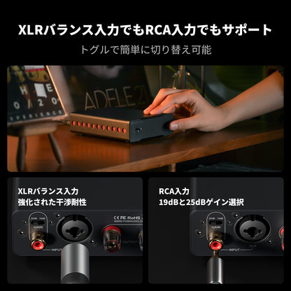 Fosi Audio V3 Mono 240Wモノラルパワーアンプ デジタルアンプ